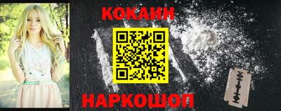 крисы Пенза