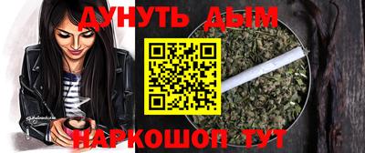 крисы Пенза