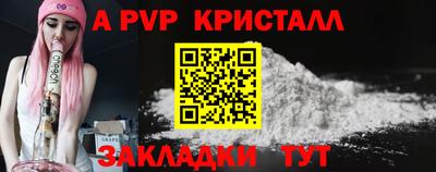 крисы Пенза