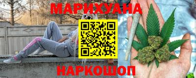 крисы Пенза