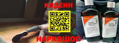 крисы Пенза
