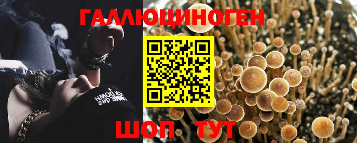 Галлюциногенные грибы ЛСД  Вход с VPN  Псилоцибиновые грибы Cubensis  Таганрог 